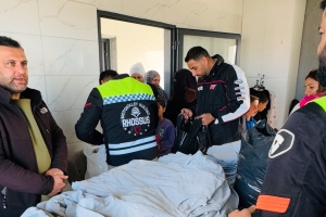  Bodrum Kardeşlik Konteyner